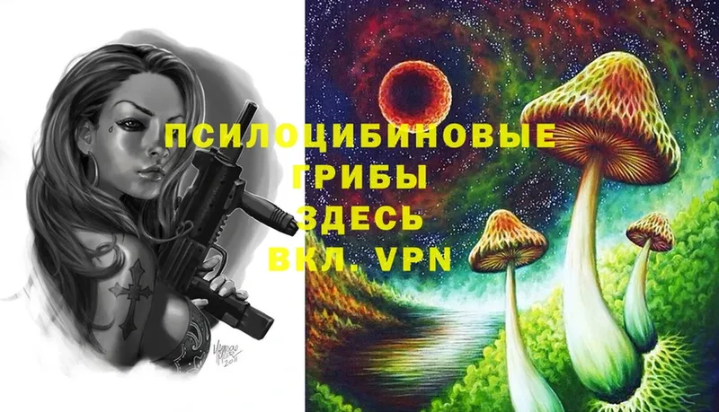 Галлюциногенные грибы Psilocybe  Электроугли 